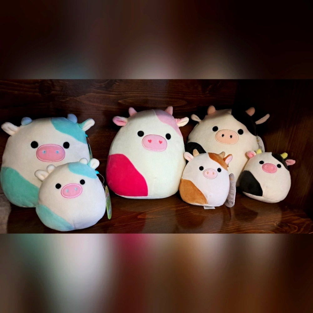 6 squishmallow cow bundle.Belana, Caedyn ,Ronnie and Conner.